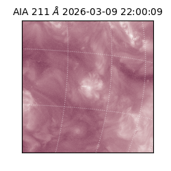 saia - 2026-03-09T22:00:09.620000