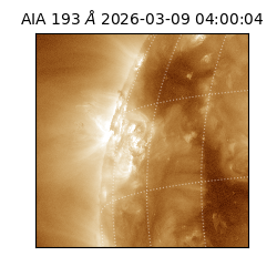 saia - 2026-03-09T04:00:04.840000