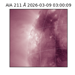 saia - 2026-03-09T03:00:09.620000