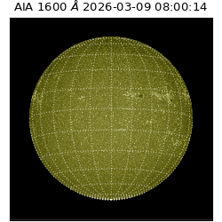 saia - 2026-03-09T08:00:14.120000
