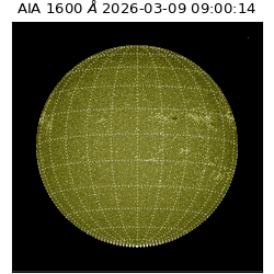 saia - 2026-03-09T09:00:14.120000