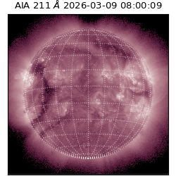 saia - 2026-03-09T08:00:09.620000