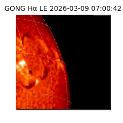 gong - 2026-03-09T07:00:42