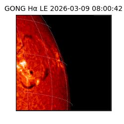 gong - 2026-03-09T08:00:42