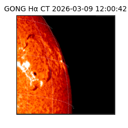 gong - 2026-03-09T12:00:42