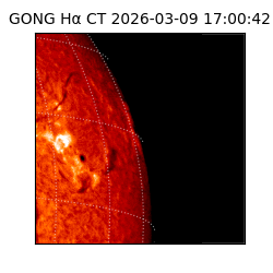 gong - 2026-03-09T17:00:42