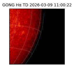 gong - 2026-03-09T11:00:22