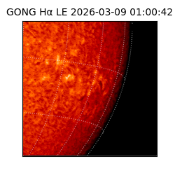 gong - 2026-03-09T01:00:42