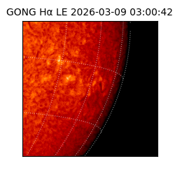 gong - 2026-03-09T03:00:42