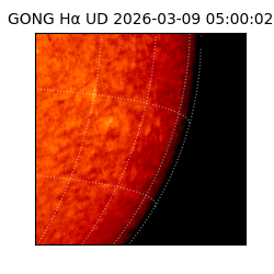 gong - 2026-03-09T05:00:02