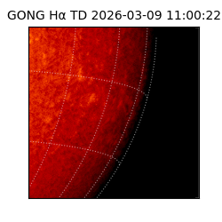 gong - 2026-03-09T11:00:22