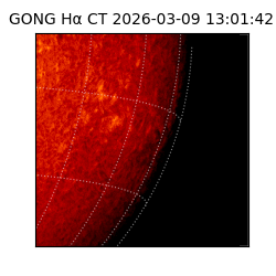 gong - 2026-03-09T13:01:42