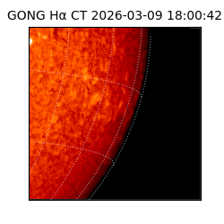 gong - 2026-03-09T18:00:42