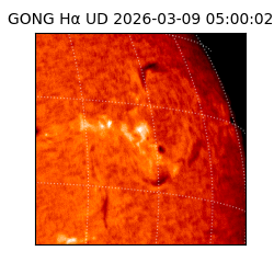 gong - 2026-03-09T05:00:02