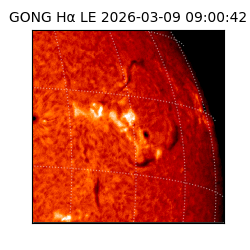 gong - 2026-03-09T09:00:42