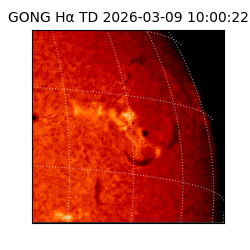 gong - 2026-03-09T10:00:22