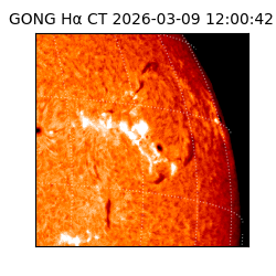 gong - 2026-03-09T12:00:42