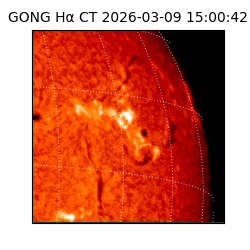 gong - 2026-03-09T15:00:42