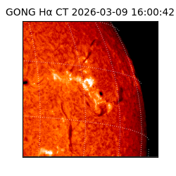 gong - 2026-03-09T16:00:42