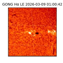 gong - 2026-03-09T01:00:42