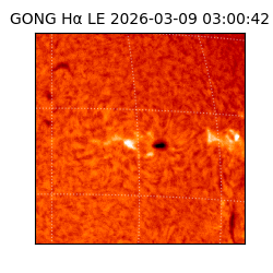 gong - 2026-03-09T03:00:42