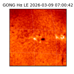 gong - 2026-03-09T07:00:42