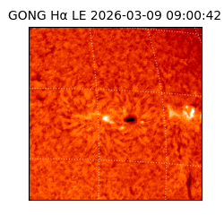 gong - 2026-03-09T09:00:42