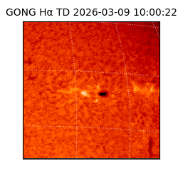 gong - 2026-03-09T10:00:22