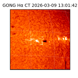 gong - 2026-03-09T13:01:42