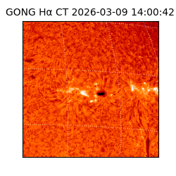 gong - 2026-03-09T14:00:42