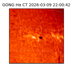 gong - 2026-03-09T22:00:42