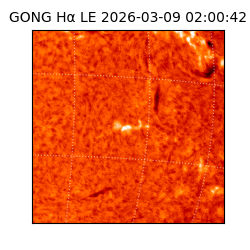 gong - 2026-03-09T02:00:42