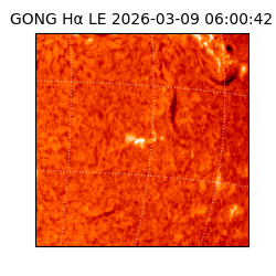 gong - 2026-03-09T06:00:42