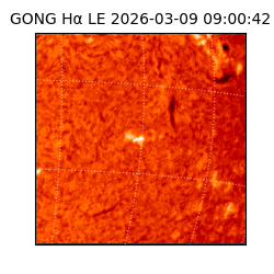 gong - 2026-03-09T09:00:42