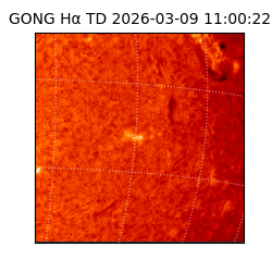 gong - 2026-03-09T11:00:22