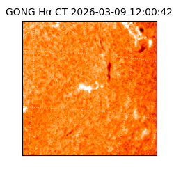 gong - 2026-03-09T12:00:42