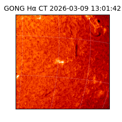 gong - 2026-03-09T13:01:42