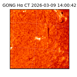 gong - 2026-03-09T14:00:42