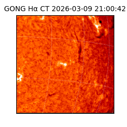 gong - 2026-03-09T21:00:42