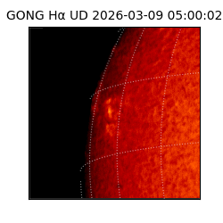 gong - 2026-03-09T05:00:02