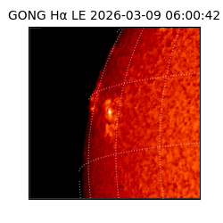 gong - 2026-03-09T06:00:42