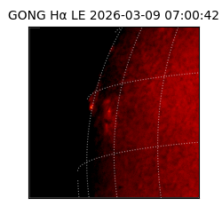 gong - 2026-03-09T07:00:42