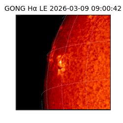 gong - 2026-03-09T09:00:42