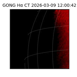 gong - 2026-03-09T12:00:42