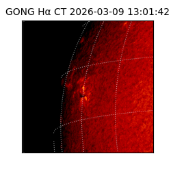 gong - 2026-03-09T13:01:42