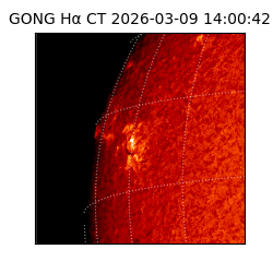 gong - 2026-03-09T14:00:42
