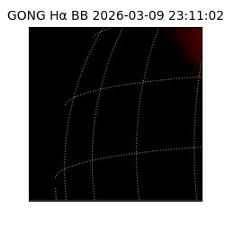 gong - 2026-03-09T23:11:02