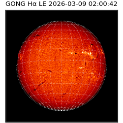 gong - 2026-03-09T02:00:42