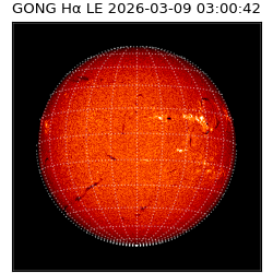 gong - 2026-03-09T03:00:42