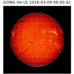 gong - 2026-03-09T08:00:42